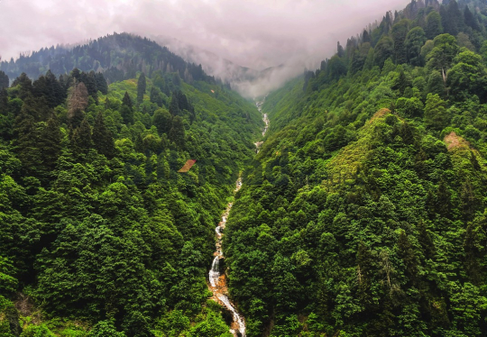 Beautiful Waterfall in the Green Mountain Landscape of Trabzon