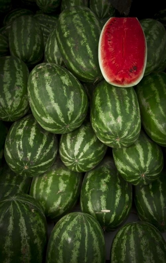 pile of water melons