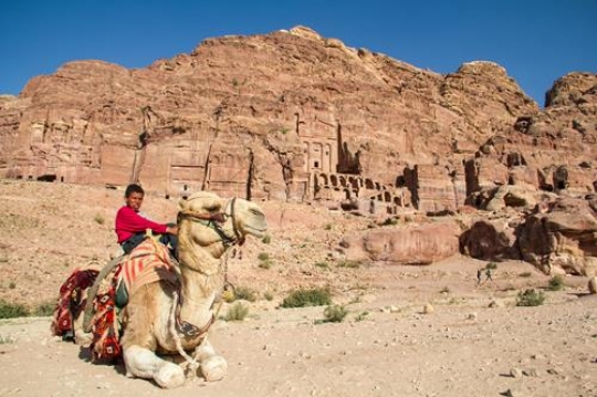 A boy sitting on camel back , Petra Jordan