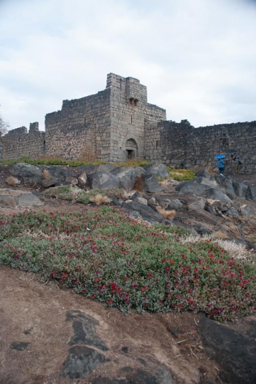 al azraq desert castle,jordan