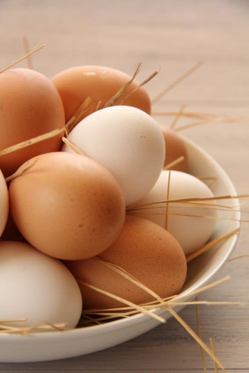eggs