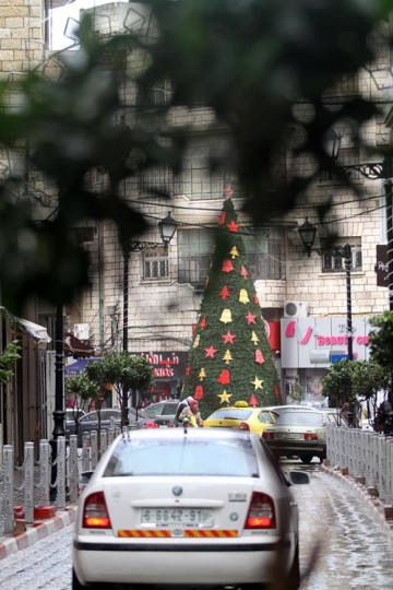 christmas tree in the bethlehem,palestine