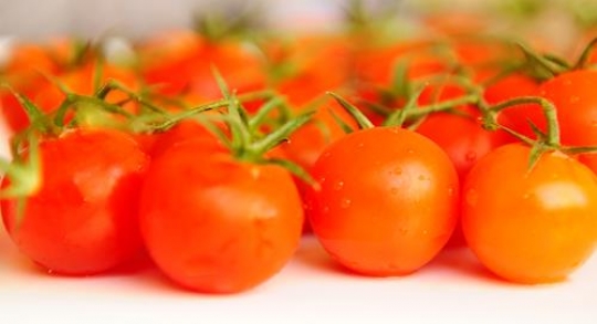 Cherry Tomatoes