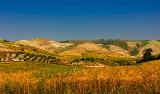 road from amman to jordan valley