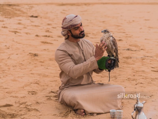 man caressing chest of falcon