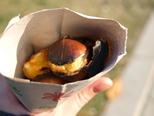 Chestnuts 