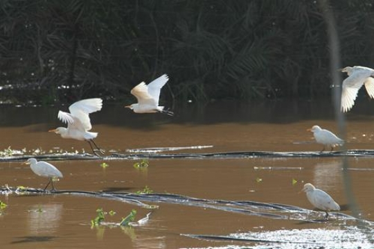 Floods in Qalqilya