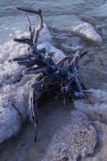 Crystalic salt on a rocks near beach in the Dead Sea, Jordan