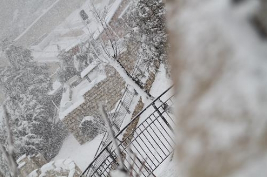 Fresh snow cover, at winter in