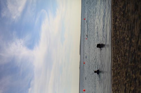 dc681b34-2117-4958-997a-86ddad16c5bb