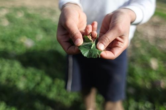 Happy little boy is playing with him brothersHappy little boy is playing with him brothers