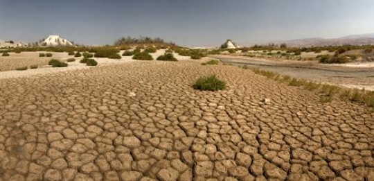 land with dry cracked ground