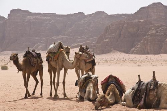 wadi rum,jordan