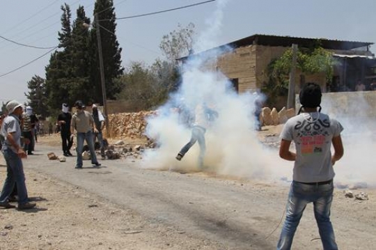 palestinian resistance