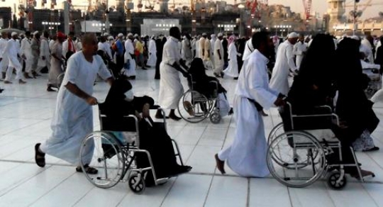 Pilgrims on the wheelchair
