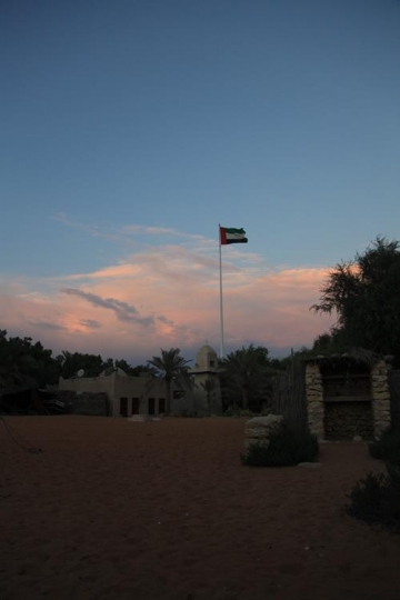 flag above a traditional building