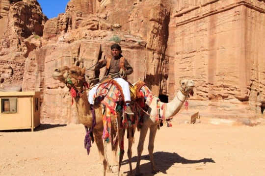 bedouin riding his camel