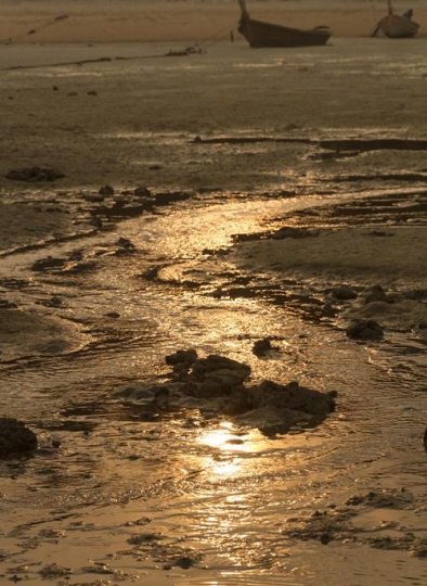 sunlight reflecting in the mud