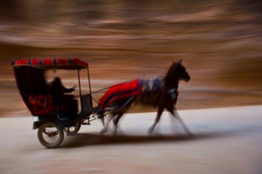 donkey carriage speeding away