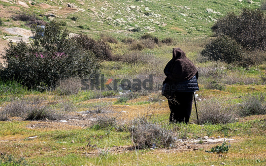 Elderly Garesa Woman in Traditional Clothing Walking Through Green Field