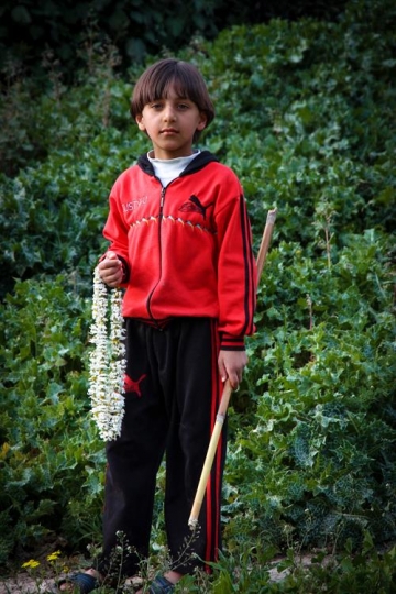 little boy standing in a field in iraq alameer,jordan