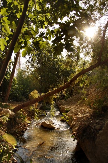 Beautiful view of mountain riv