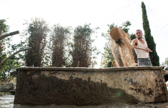 Palestinian Construction Worker Shovelling Concrete