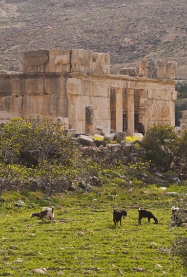old roman house in the wild