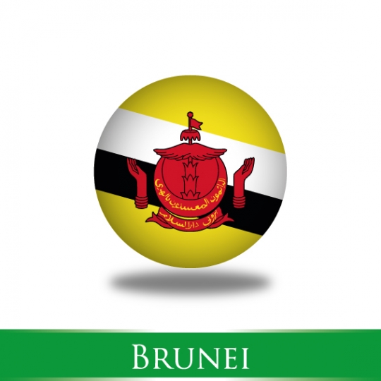 Brunei flag button