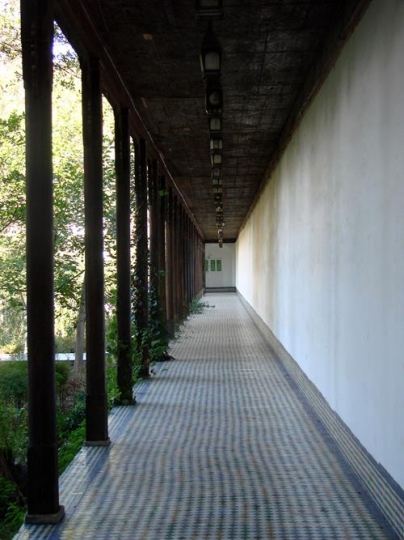 Pathway with sunbeam