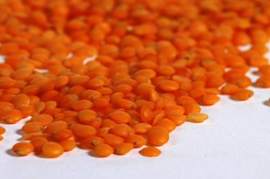 Lentils Grains