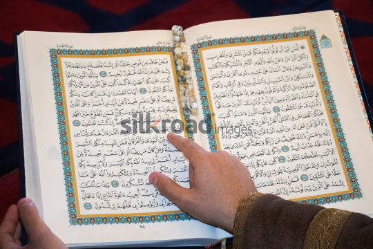 Mosque (4)