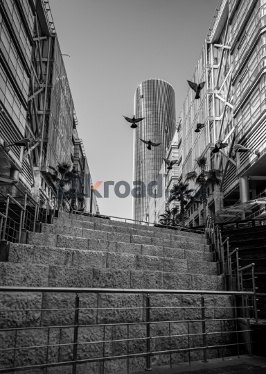 Rotana Hotel Tower with Doves in Flight, Al Abdali Boulevard, Amman