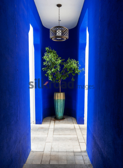 Stylish Blue Corridor with Plant and Pendant Light at Ayla Houses